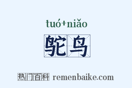 鸵鸟是什么意思的图片